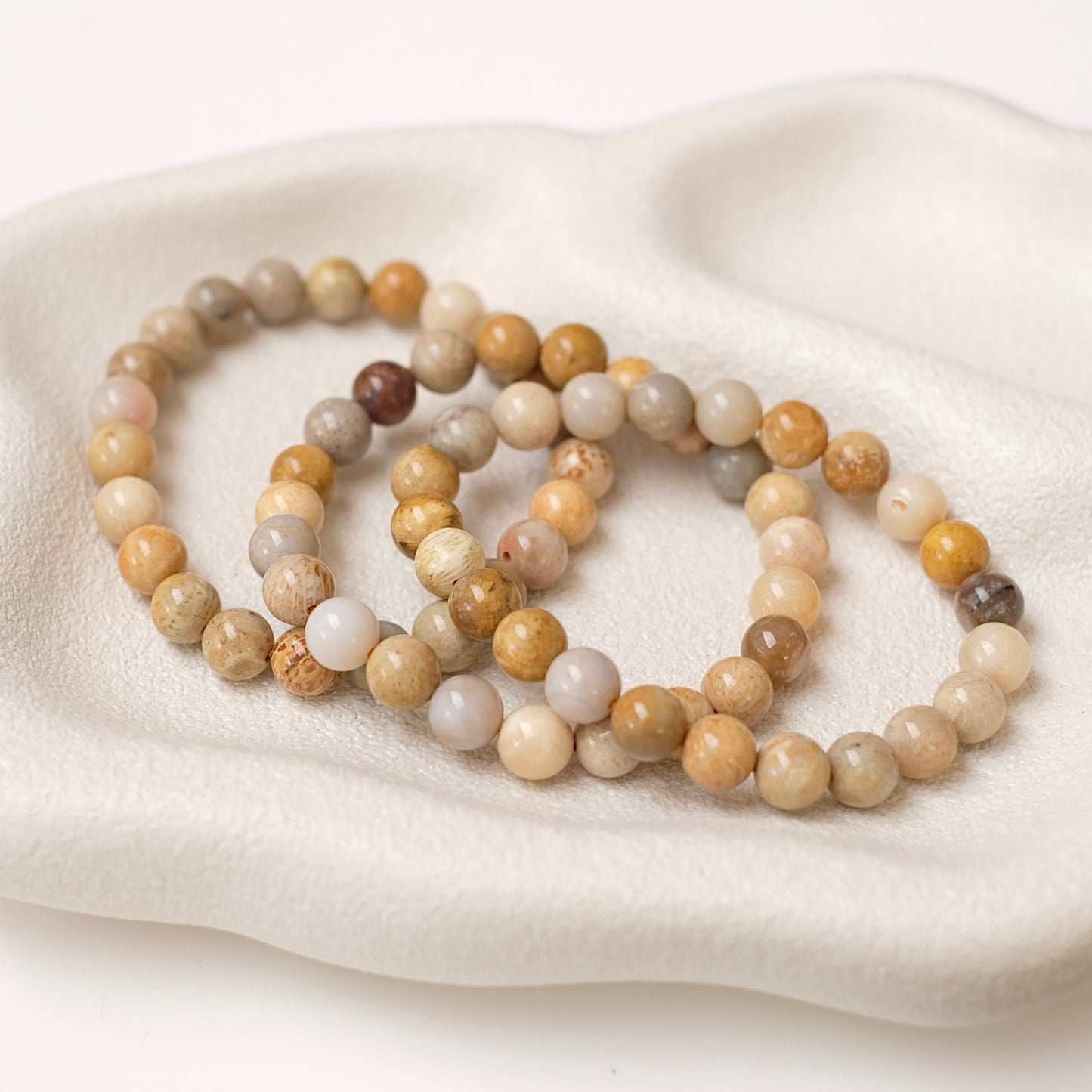 Fossilised Coral Bracelet | Coral Crystal Stretch Bracelet