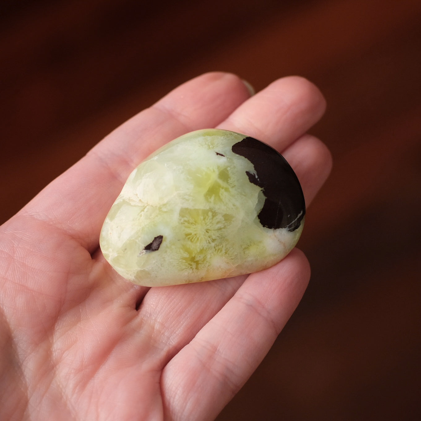 Australian Prehnite Freeform | Polished Prehnite Crystal
