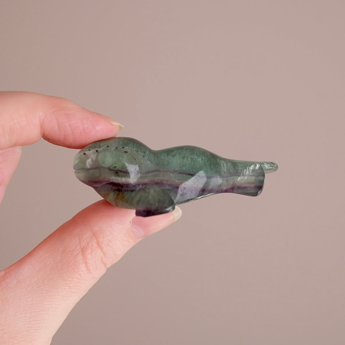 Adorable Fluorite Seal Carving | Baby Seal | Rainbow Fluorite Animal