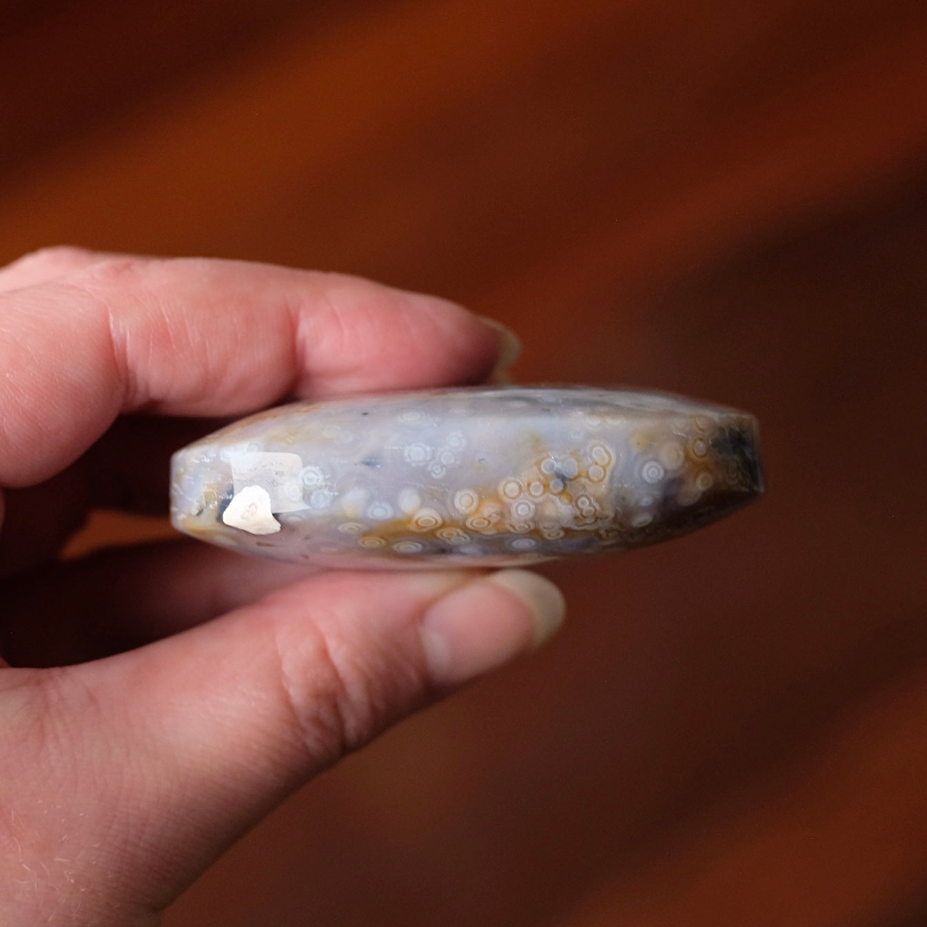 Ocean Jasper Palm | Blue Ocean Jasper Crystal Palmstone