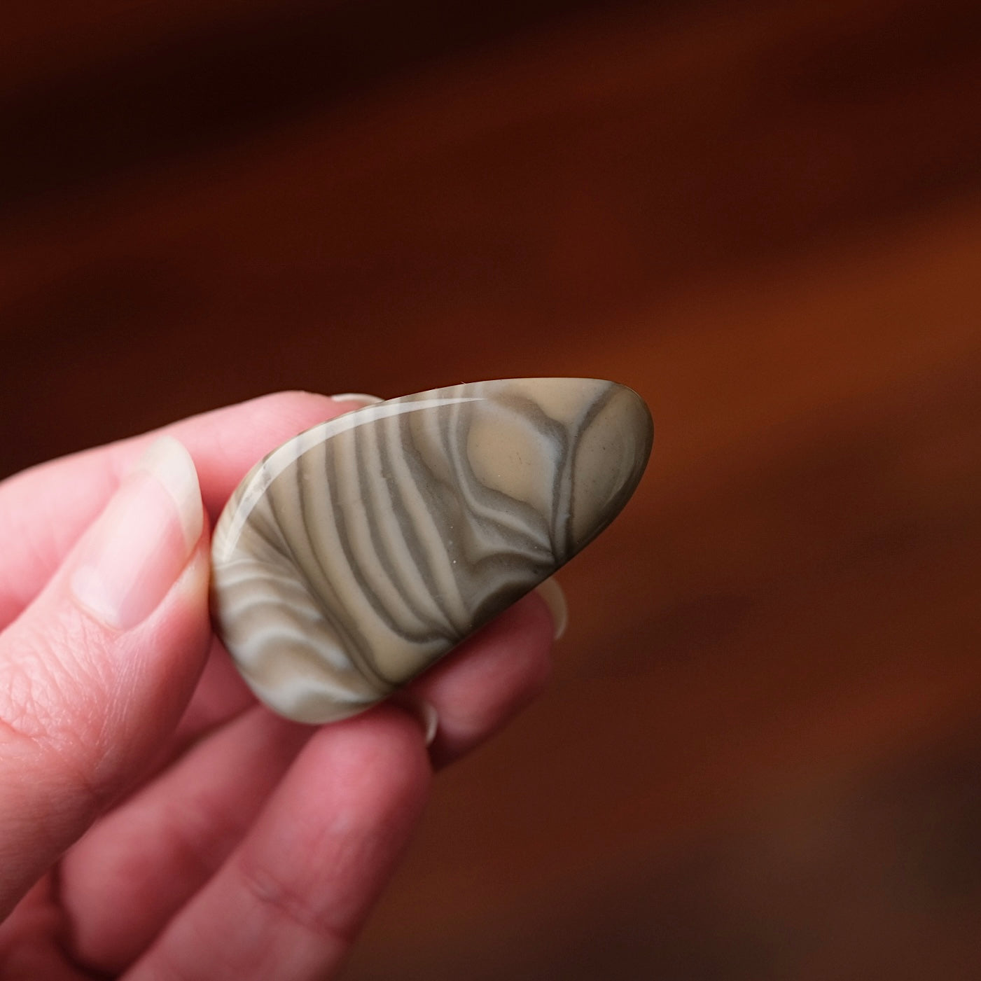 Polish Flint | Polished Polish Flint Crystal