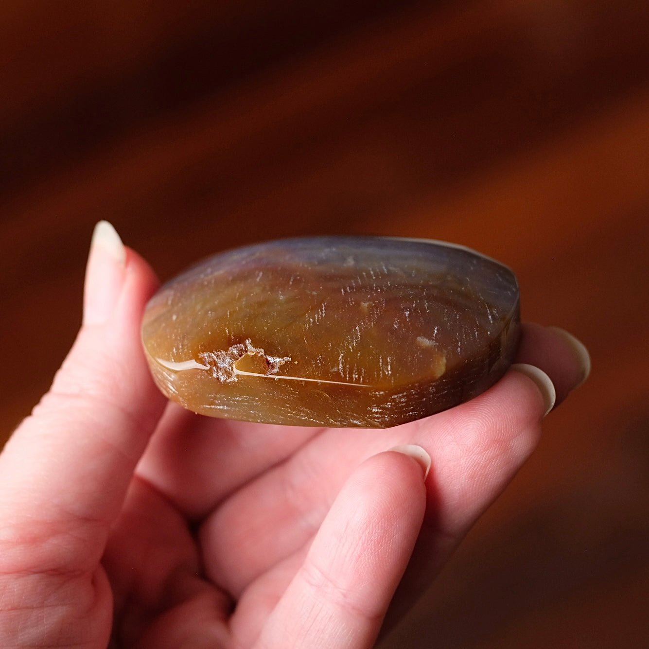 Ocean Jasper Palm | Sea Jasper Crystal Palmstone