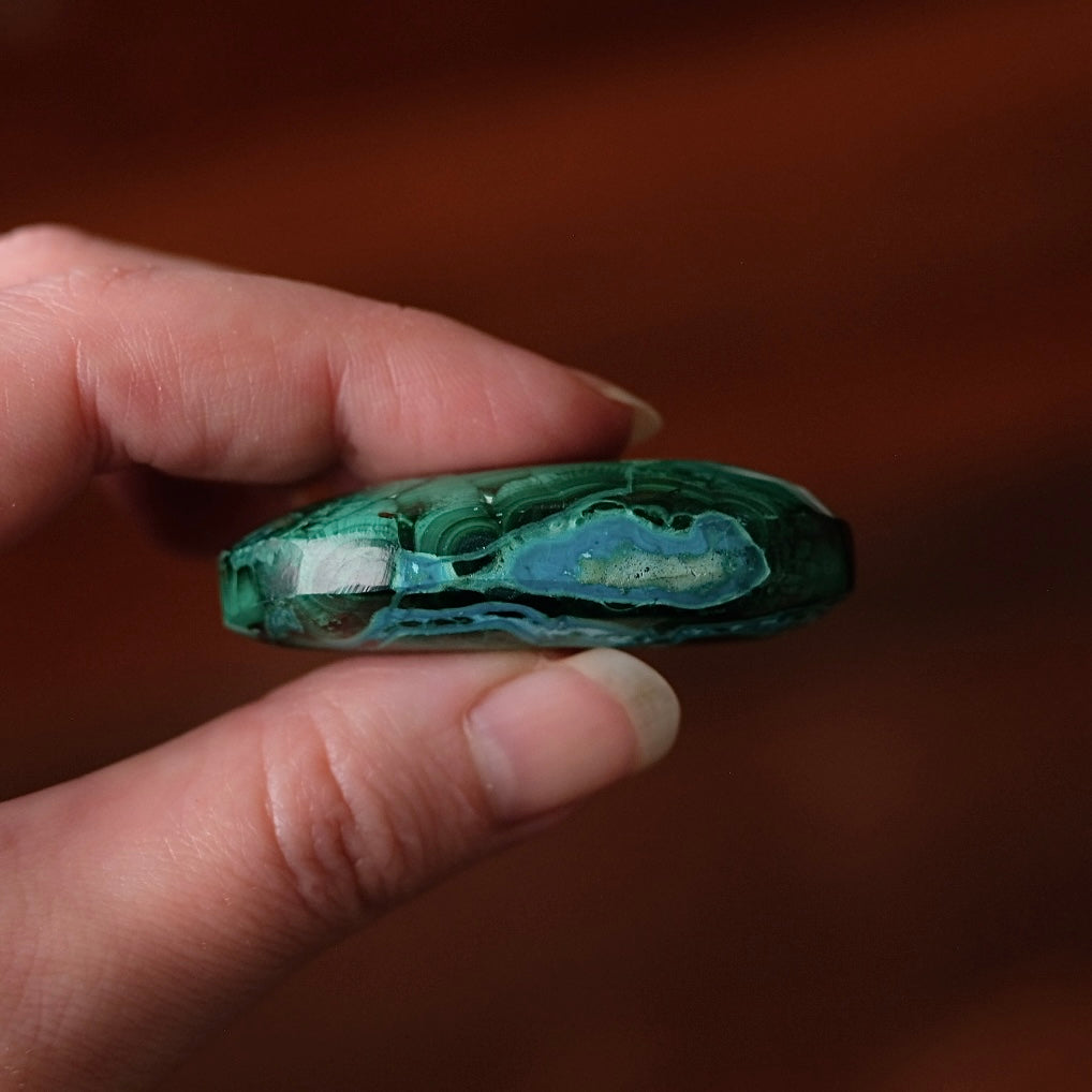 Malachite Palm | Malachite Chrysocolla Crystal Palm