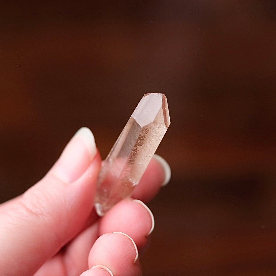 Starbrary Quartz Point | Quartz Crystal Specimen