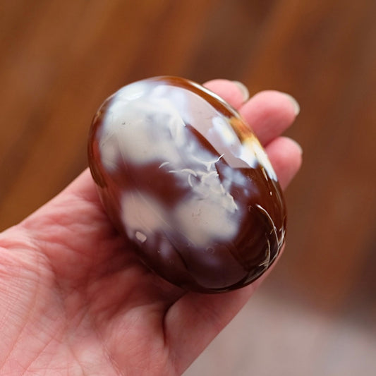 XL Orca Carnelian Palm | Orange Carnelian Agate Crystal Palm