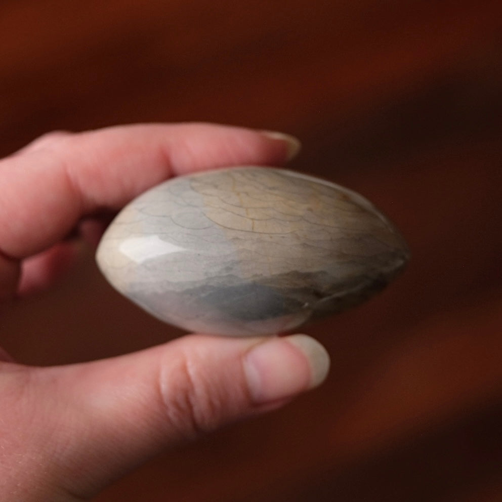 Polychrome Jasper Palm | Wave Polychrome Palm Stone