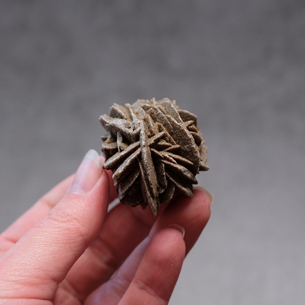 Desert Rose Selenite Specimen | Gypsum Raw Crystal