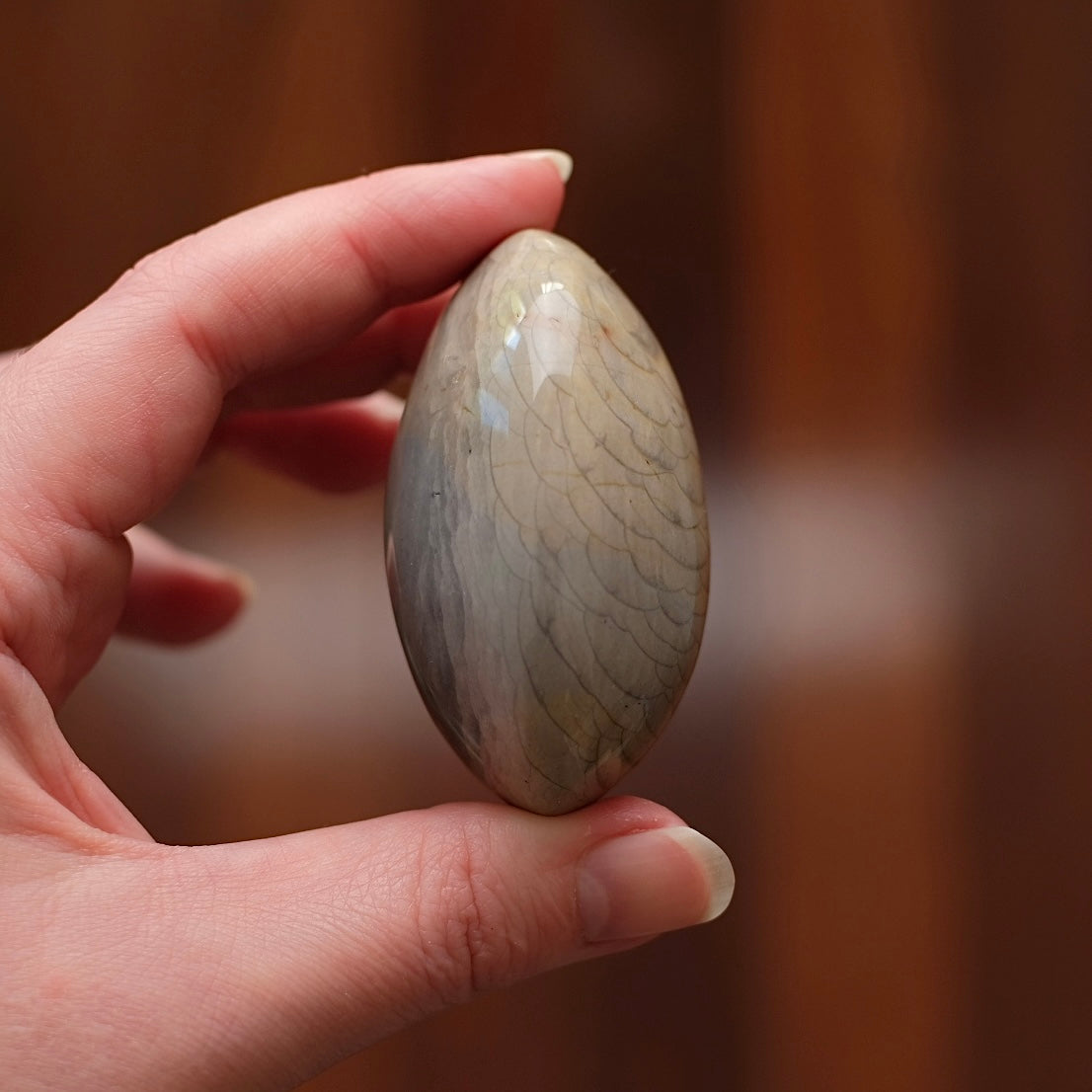 Polychrome Jasper Palm | Wave Polychrome Palm Stone