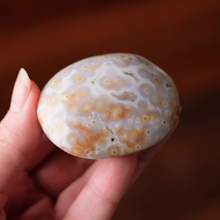 Old Stock Ocean Jasper Palm | Orbicular OJ Crystal Palmstone