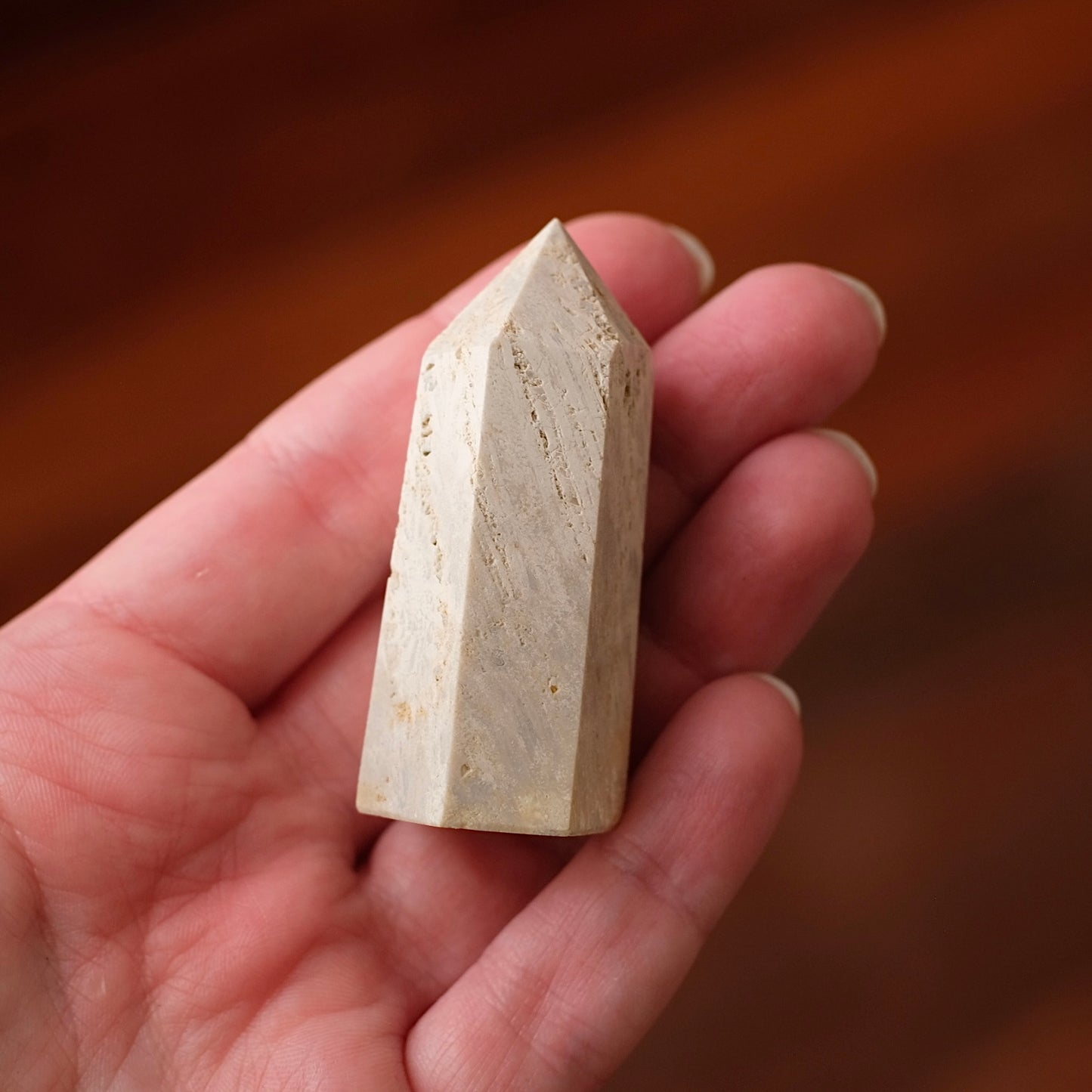 Coral Fossil Point | Coral Crystal Tower