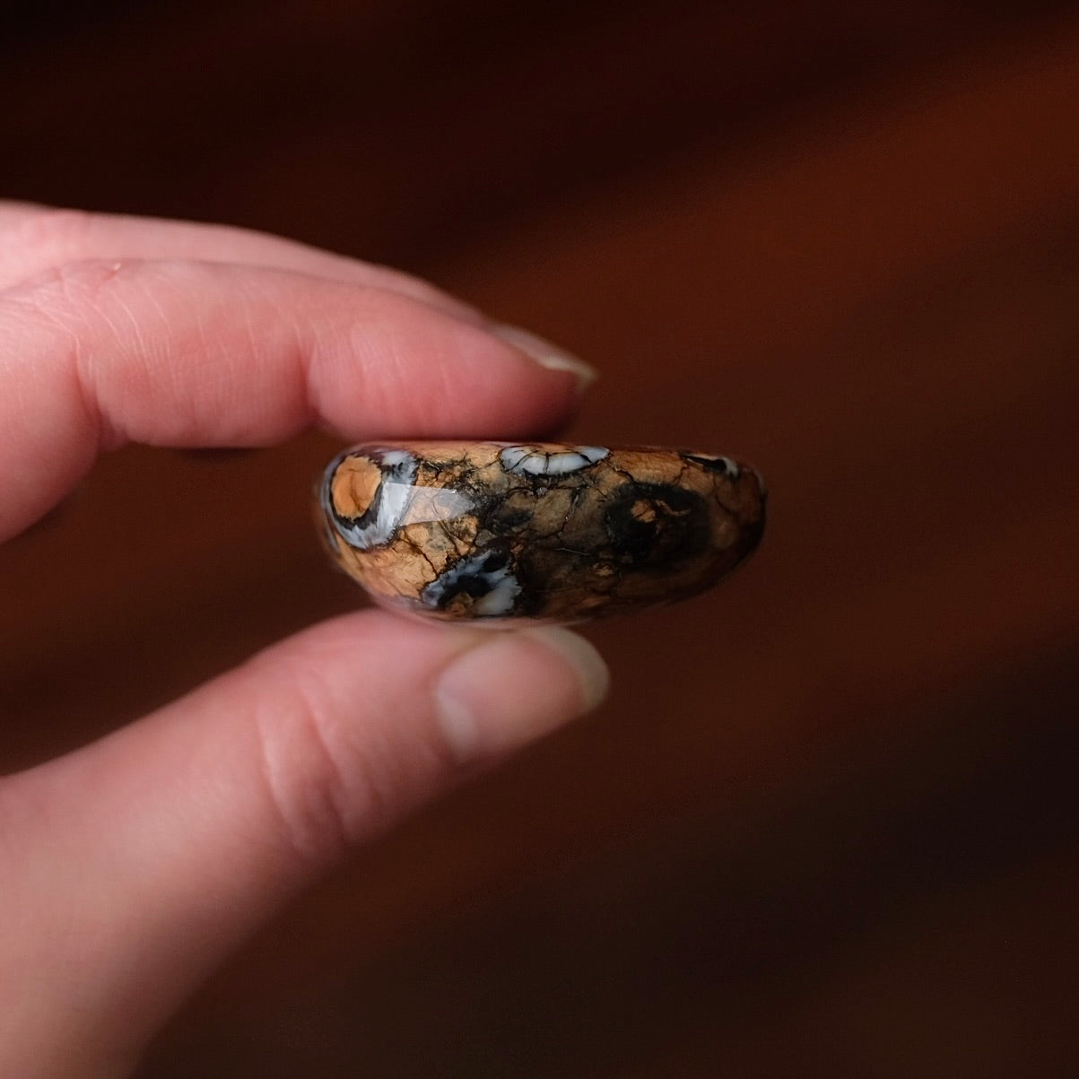 Rare Mammoth Molar Palm | Real Polished Wooly Mammoth Molar Tooth