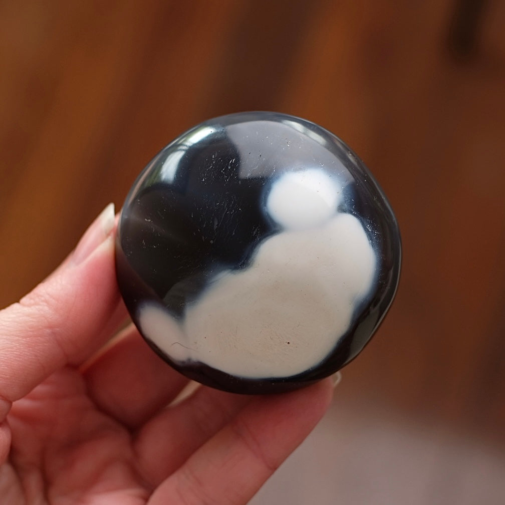 Orca Agate Palm | Agate Crystal Palm Stone