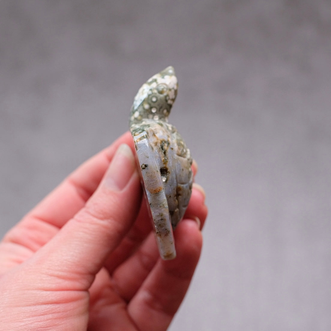 Ocean Jasper Turtle Carving | Crystal Animal | Druzy Crystal Turtle