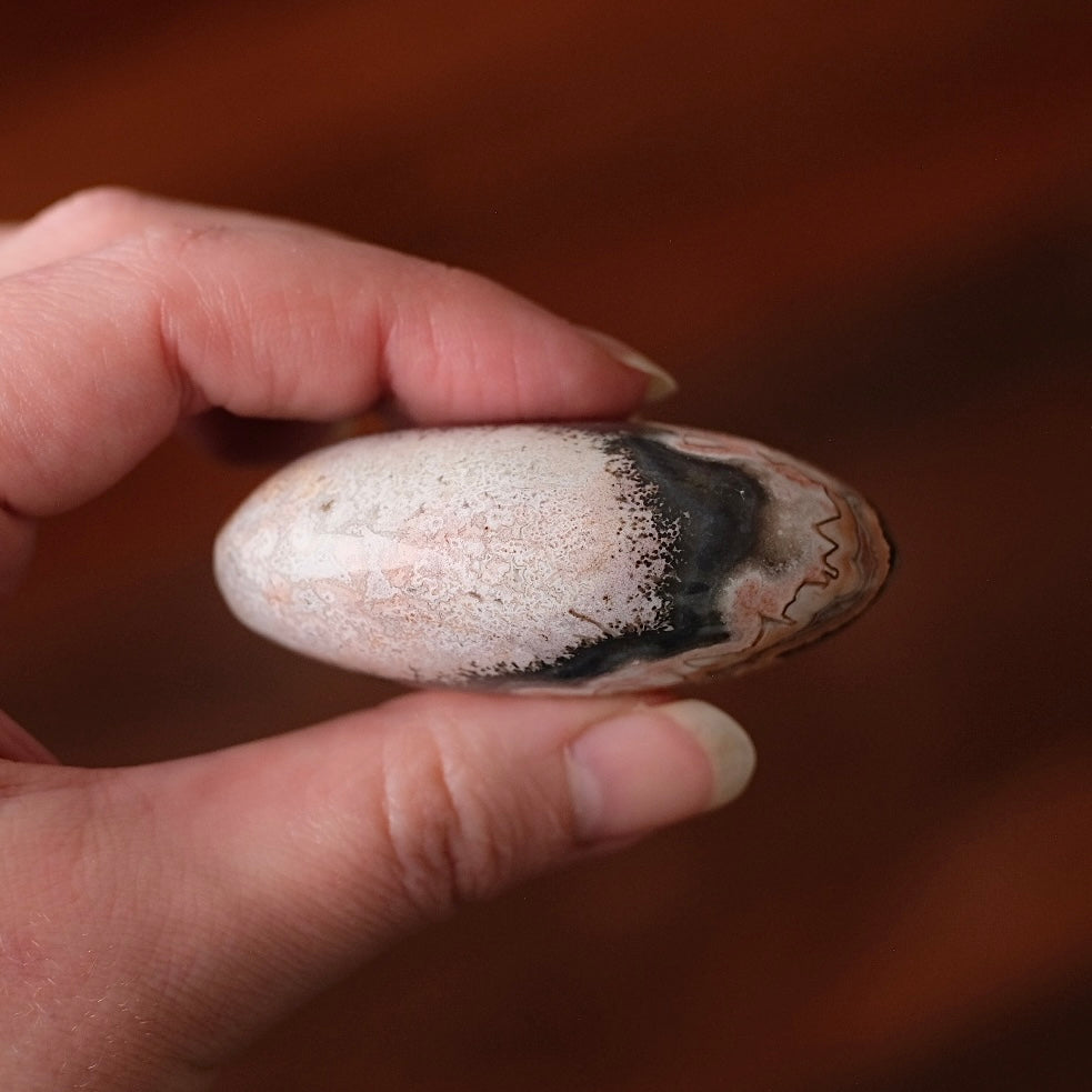 Crazy Lace Agate Palm | Mexican Crazy Lace Crystal Palm