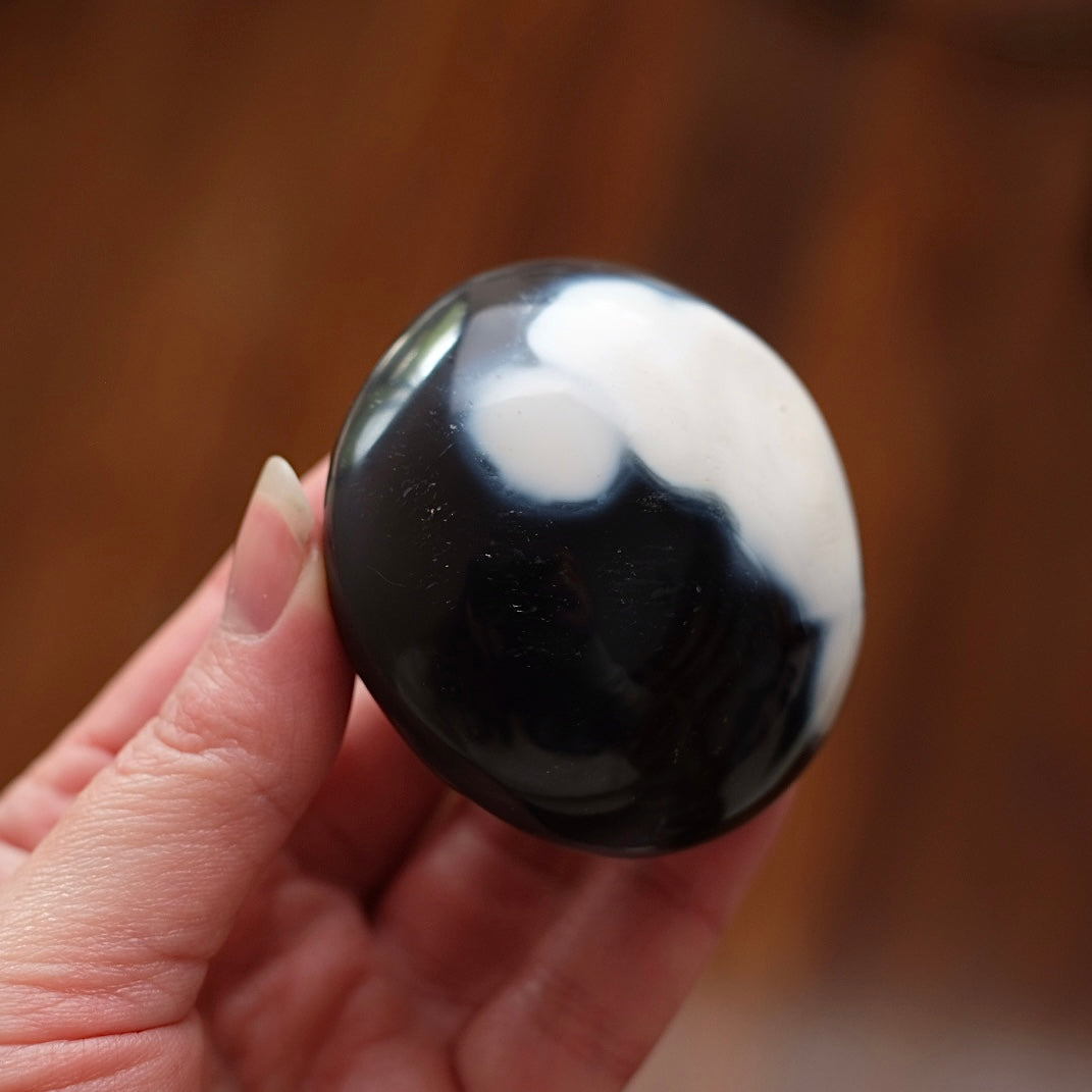 Orca Agate Palm | Agate Crystal Palm Stone