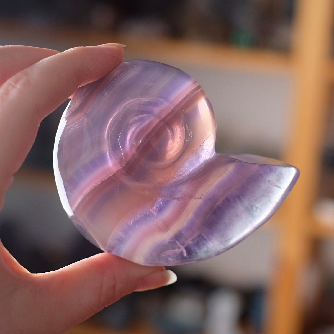 Yttrium Fluorite Ammonite Carving | Pink Fluorite Crystal Shell