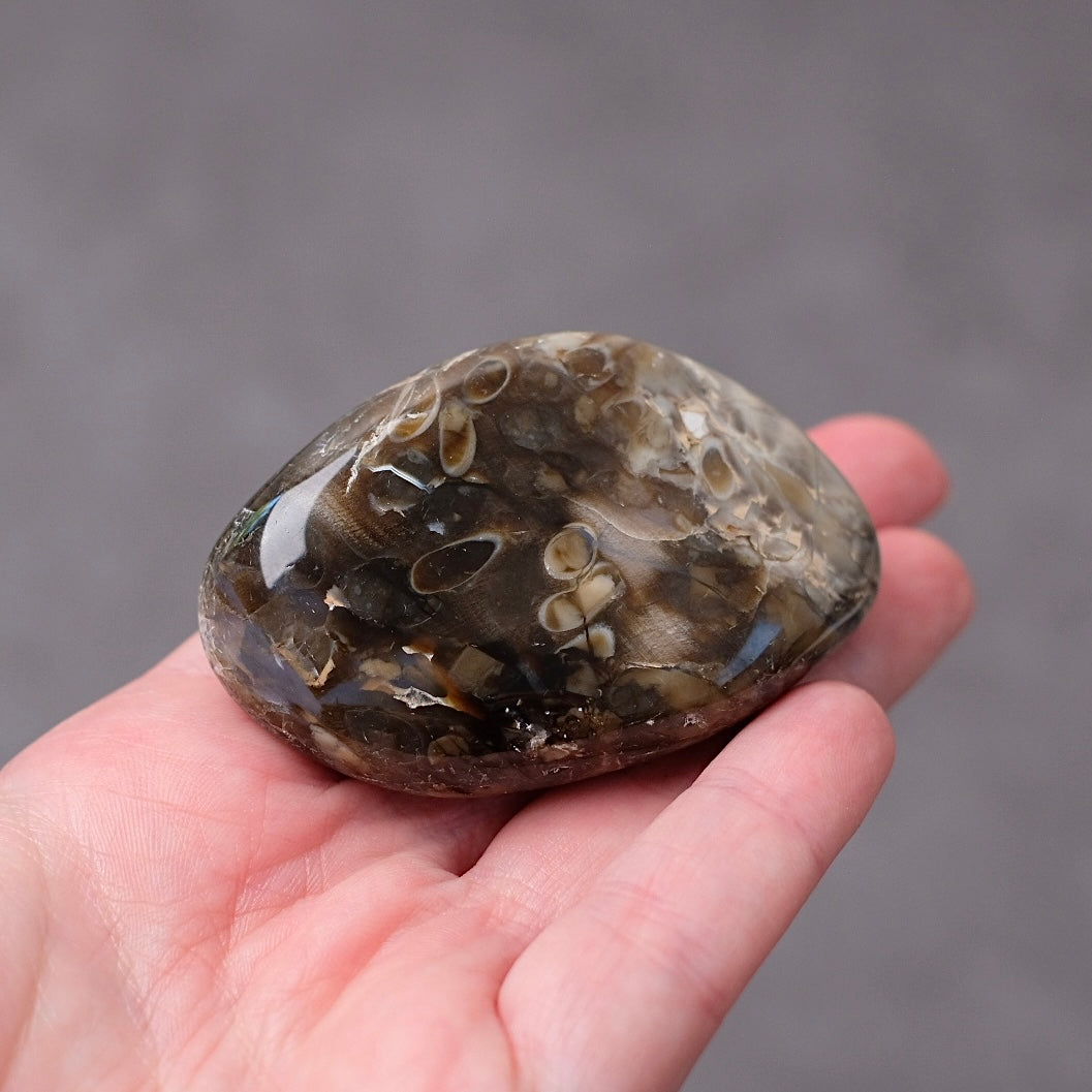 Australian Peanut Wood | Polished Peanut Wood Crystal Freeform