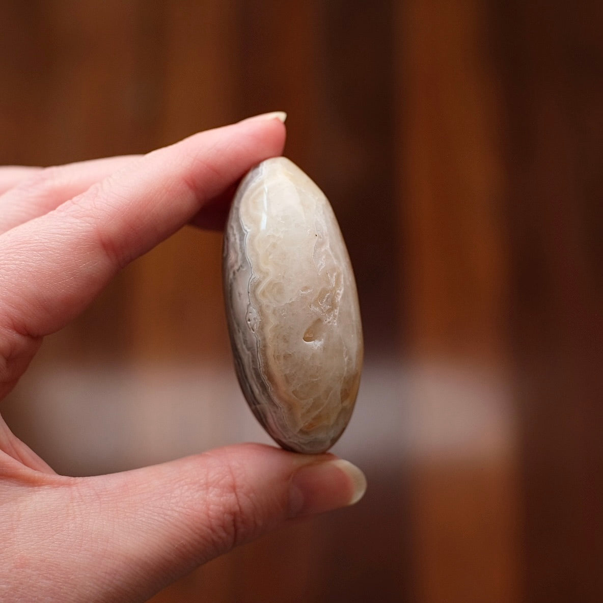 Crazy Lace Agate Palm | Mexican Crazy Lace Crystal Palm
