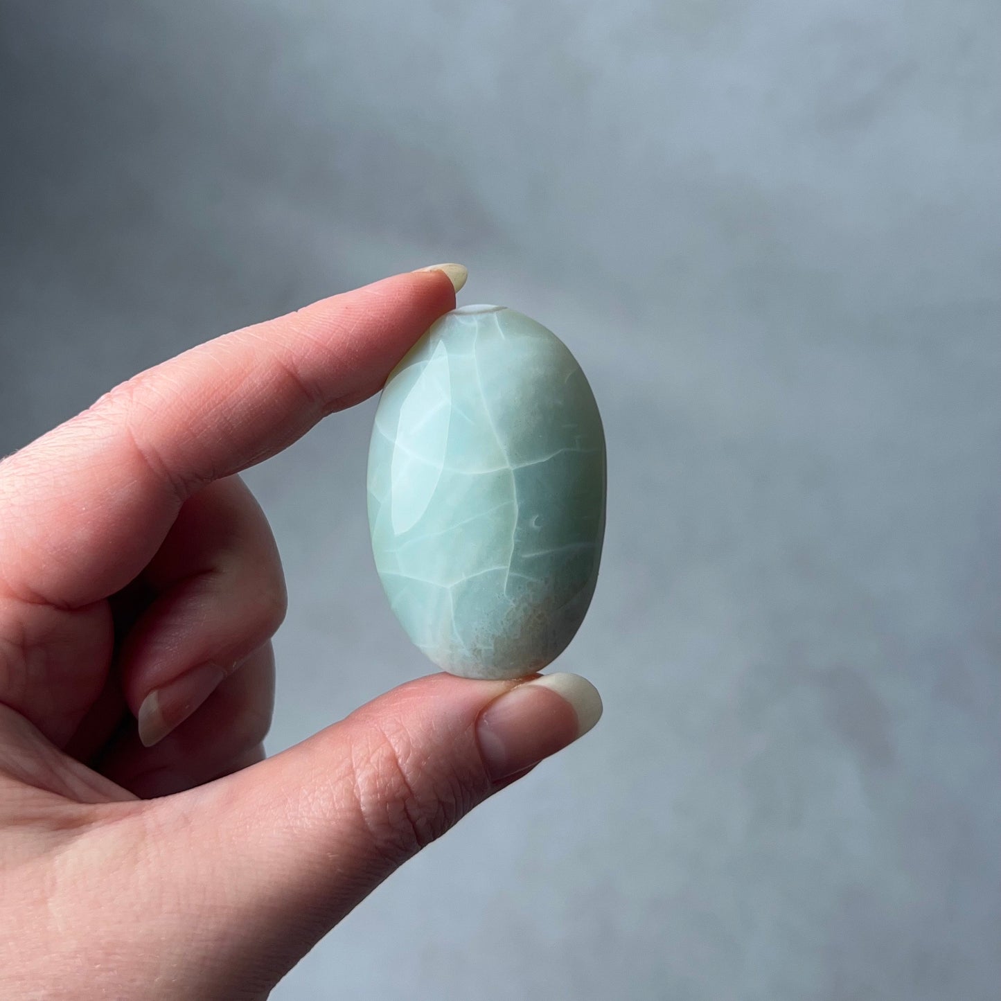 Rare Blue Flower Agate Palm | Green Flower Agate Palm