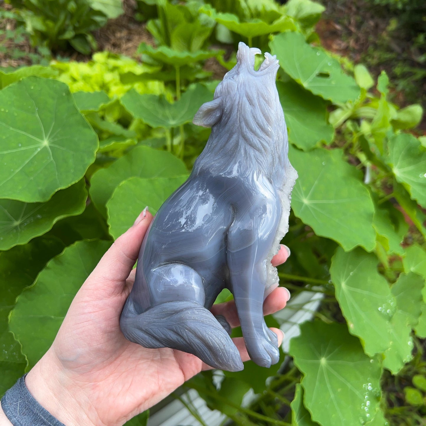 Stunning Druzy Agate Wolf Carving | Crystal Carving