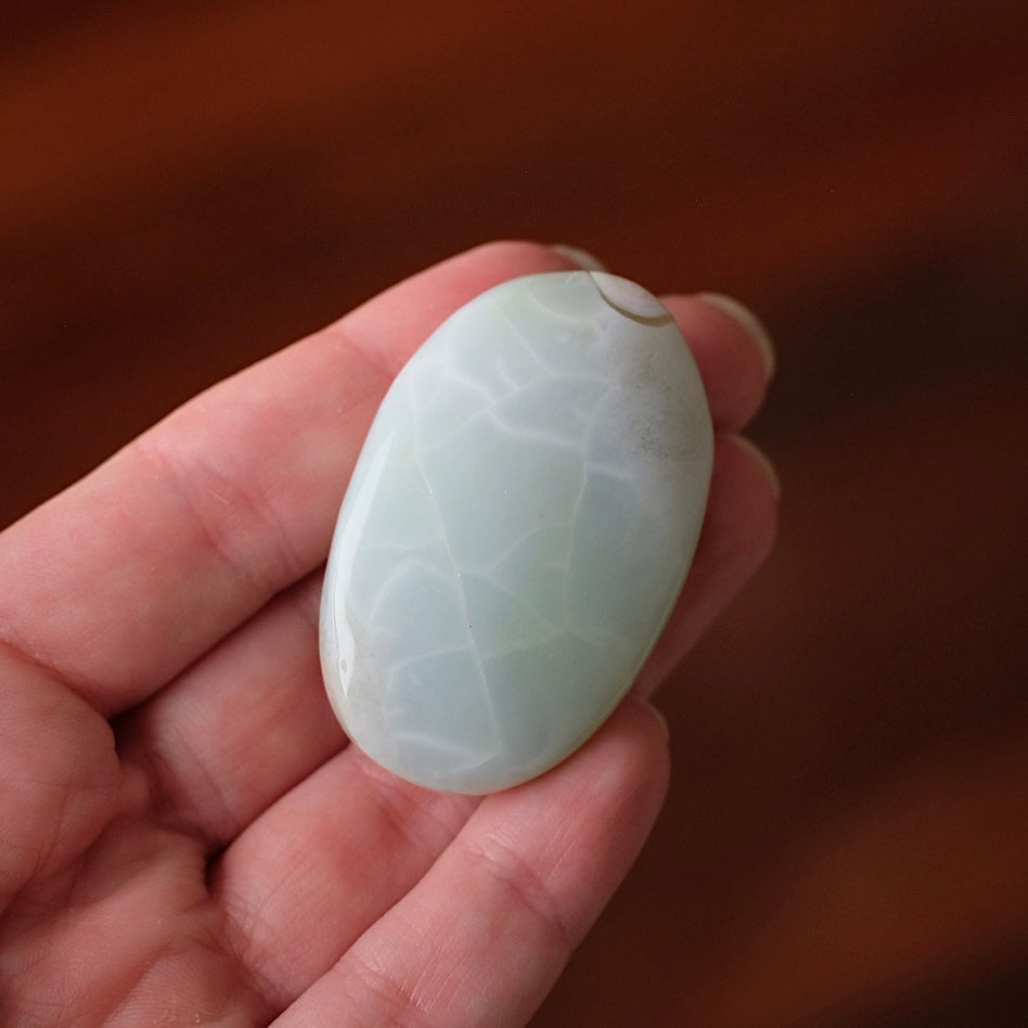 Rare Blue Flower Agate Palm | Green Flower Agate Palm