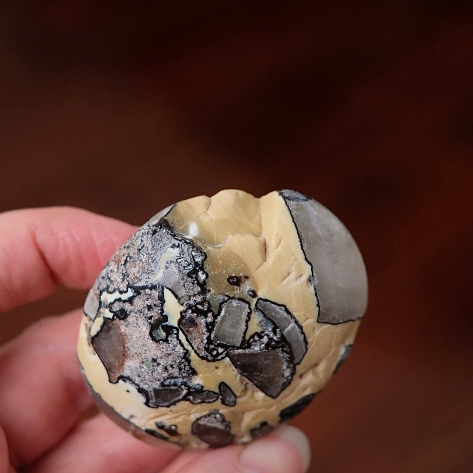 Mosaic Quartz Palm | Mosaic Chalcedony Crystal Palmstone