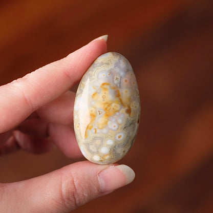 Ocean Jasper Palm | OJ Crystal Pocket Stone