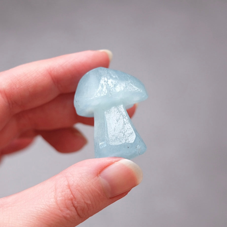 Aquamarine Mushroom | Crystal Mushroom Carving
