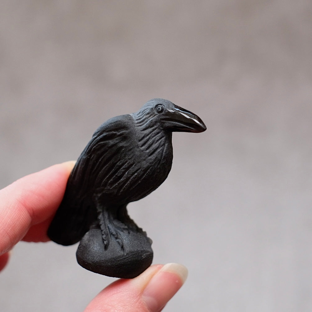 Black Obsidian Raven Carving | Crystal Crow Halloween Crystal