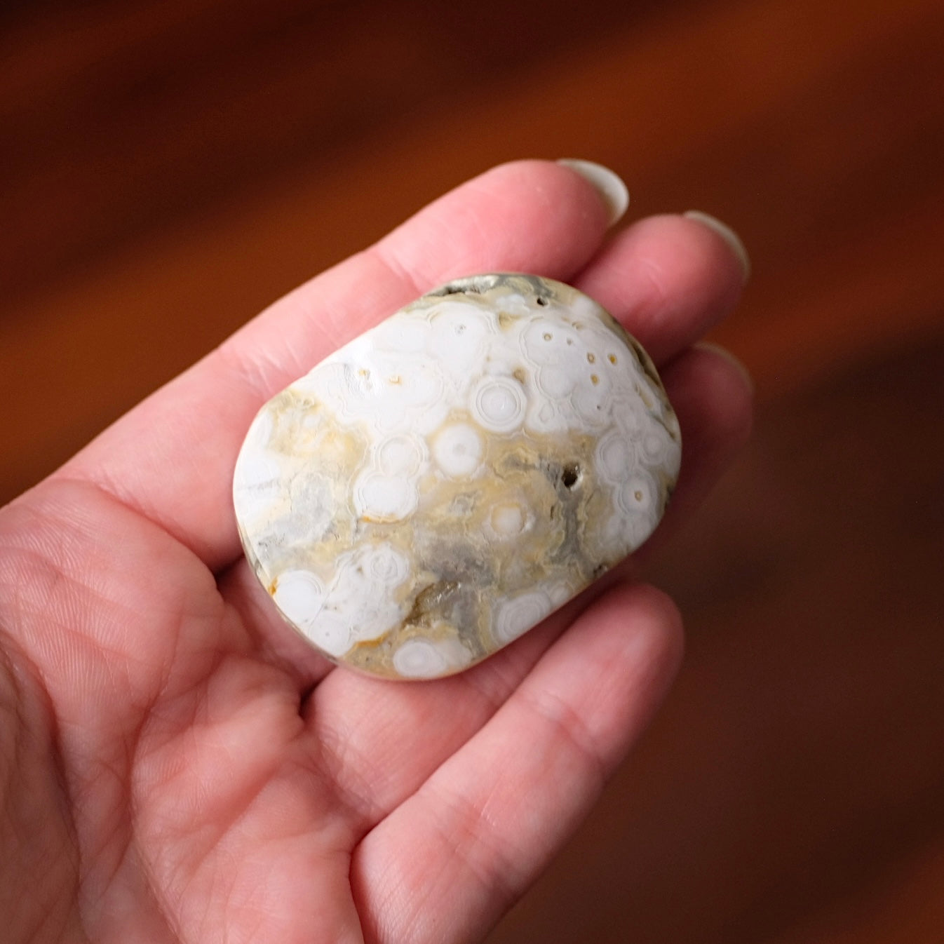 Ocean Jasper Palm | Sea Jasper Crystal Palmstone
