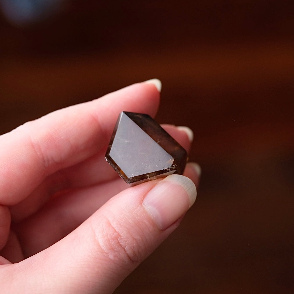 Rare Harlequin Citrine Point | Natural Cognac Citrine Crystal Tower