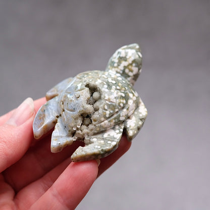 Ocean Jasper Turtle Carving | Crystal Animal | Druzy Crystal Turtle