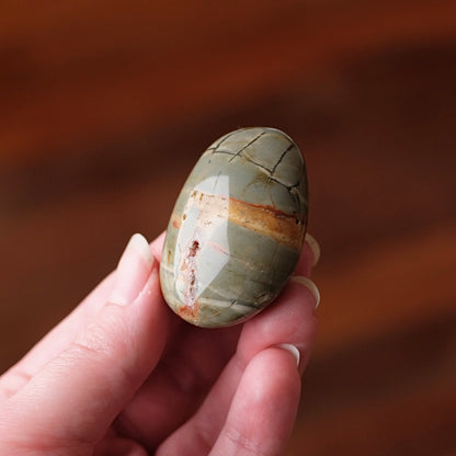 Ibis Jasper Palm | Brecciated Jasper Crystal Palmstone
