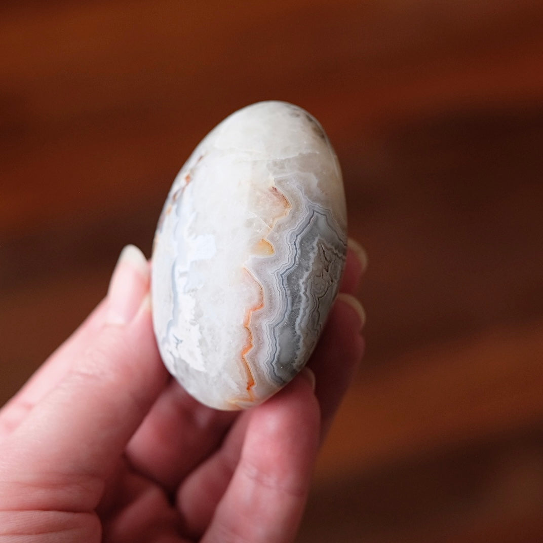 Grey Crazy Lace Agate Palm | Mexican Crazy Lace Crystal Palm