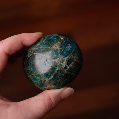 XL Apatite Palm | Dark Teal Blue Apatite Crystal Palmstone