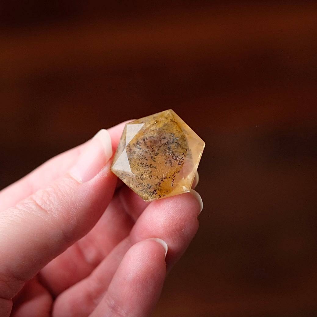 Dendritic Quartz Hexagon | Golden Healer Crystal Jewel | Star of David