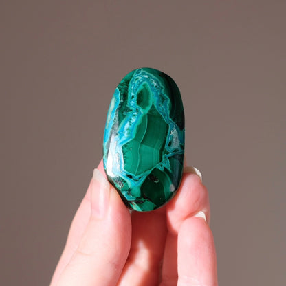 Malachite Palm | Malachite Chrysocolla Crystal Palm