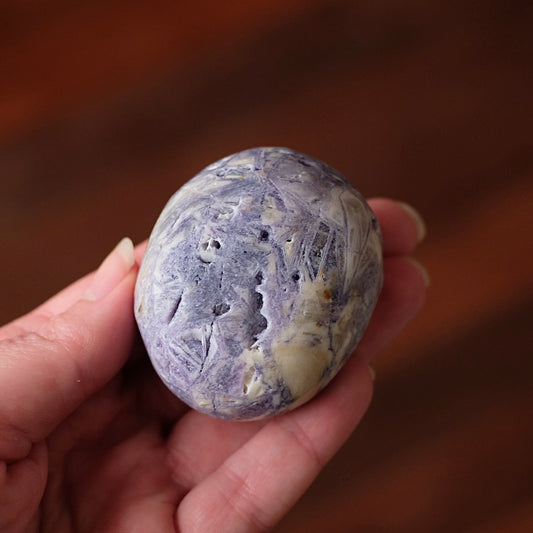 Opalized Sagenitic Fluorite Palm | Crystal Palmstone