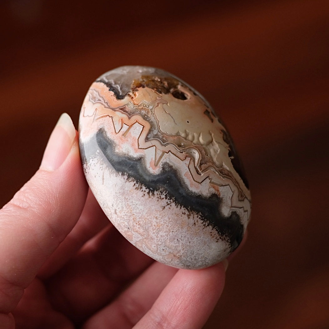 Crazy Lace Agate Palm | Mexican Crazy Lace Crystal Palm