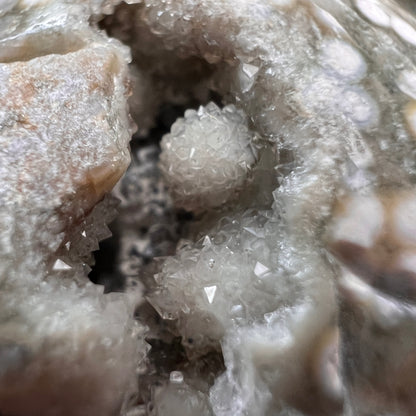 Ocean Jasper Turtle Carving | Crystal Animal | Druzy Crystal Turtle