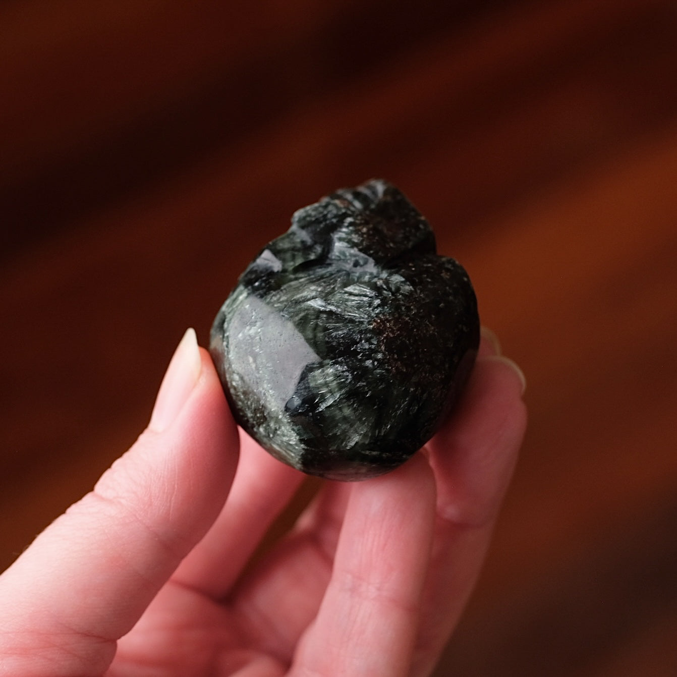 Seraphinite Crystal Skull | Rare Skull Carving