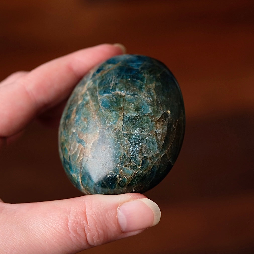 XL Apatite Palm | Dark Teal Blue Apatite Crystal Palmstone
