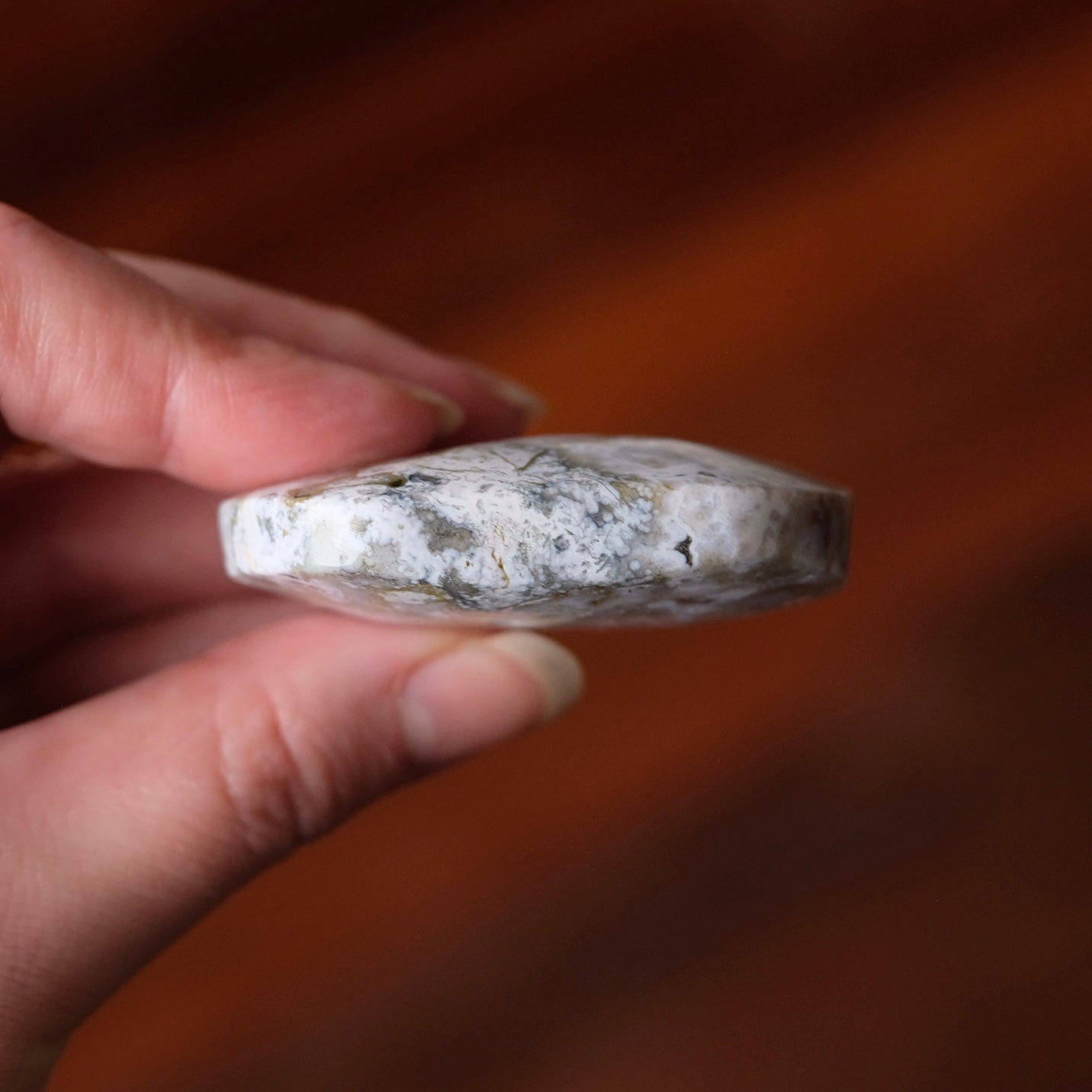 Ocean Jasper Palm | Sea Jasper Crystal Palmstone