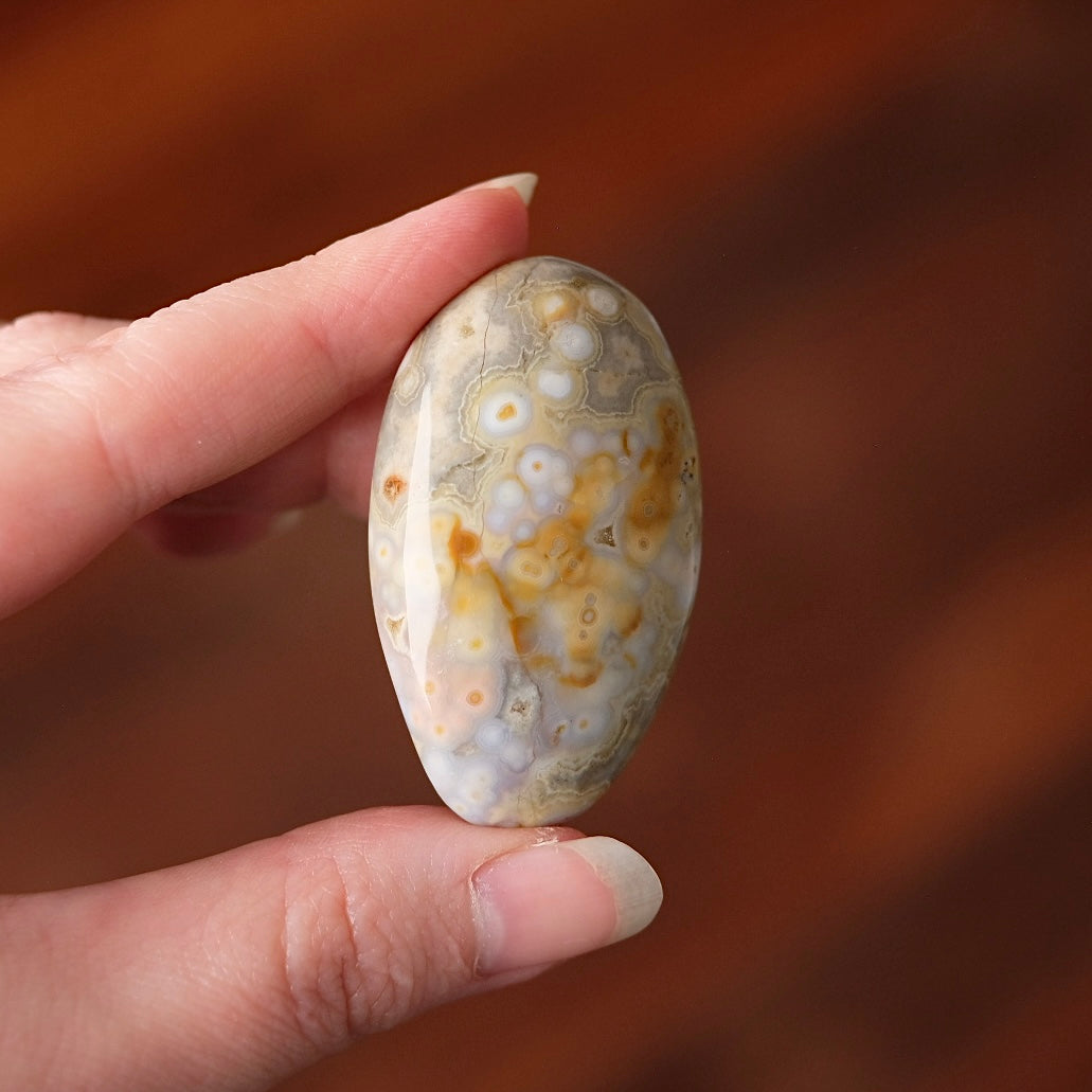 Ocean Jasper Palm | OJ Crystal Pocket Stone