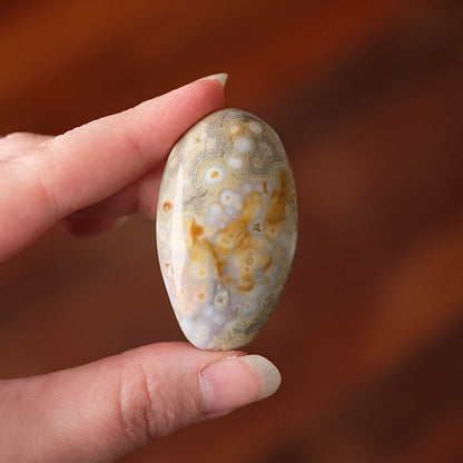 Ocean Jasper Palm | OJ Crystal Pocket Stone