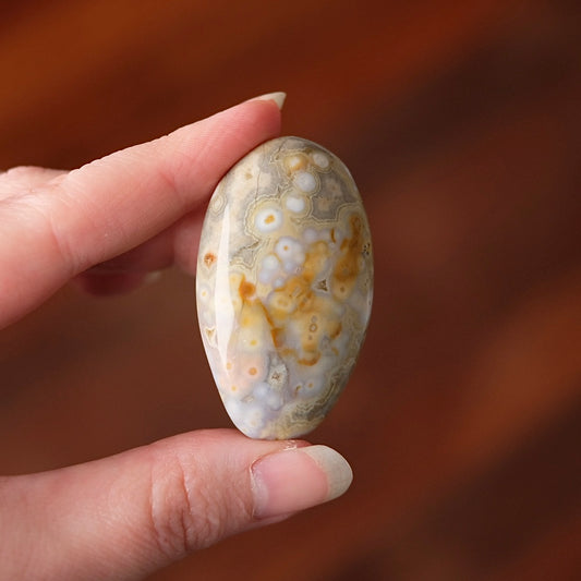 Ocean Jasper Palm | OJ Crystal Pocket Stone