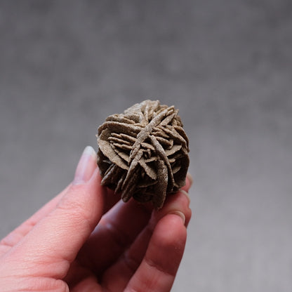 Desert Rose Selenite Specimen | Gypsum Raw Crystal