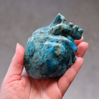 Apatite Anatomical Heart Carving | Human Crystal Heart