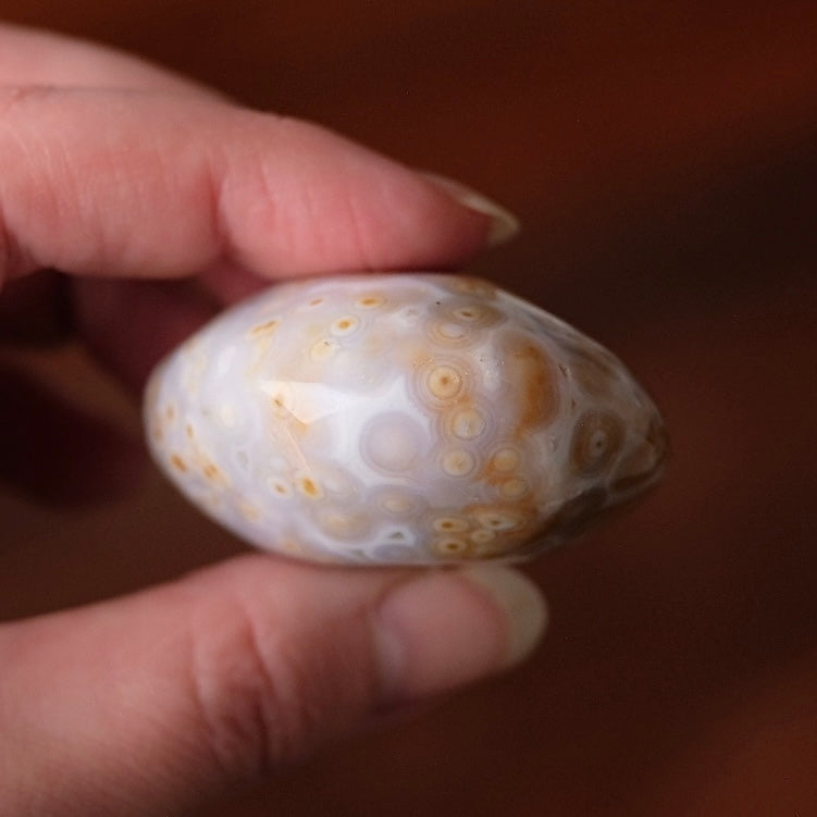 Old Stock Ocean Jasper Palm | Orbicular OJ Crystal Palmstone
