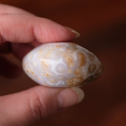 Old Stock Ocean Jasper Palm | Orbicular OJ Crystal Palmstone